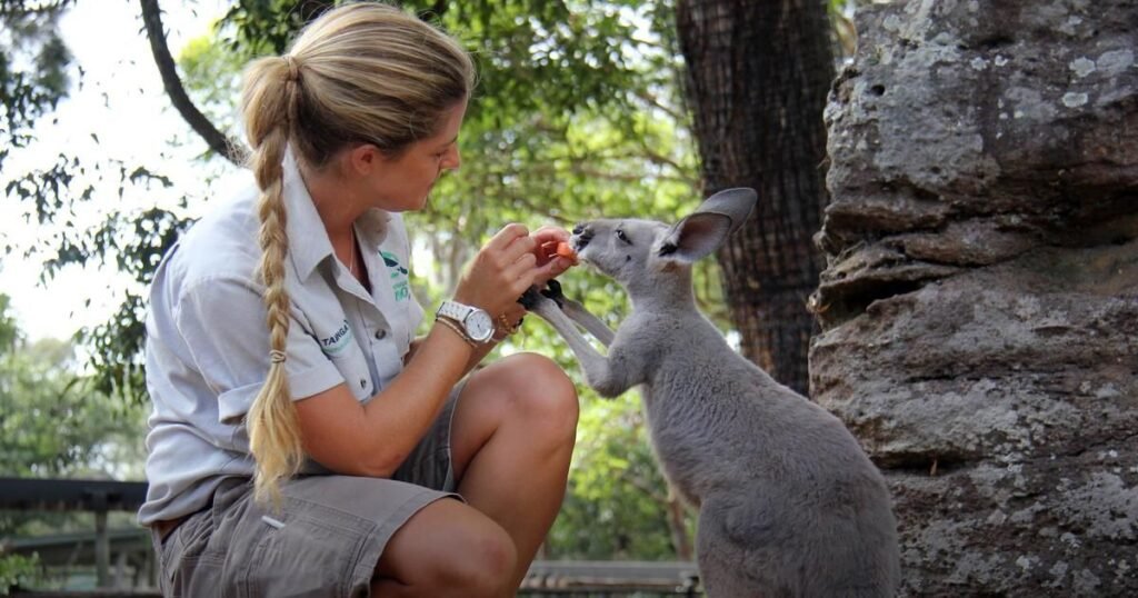 Zoology Jobs: Career Options, Requirements and Future Outlook
