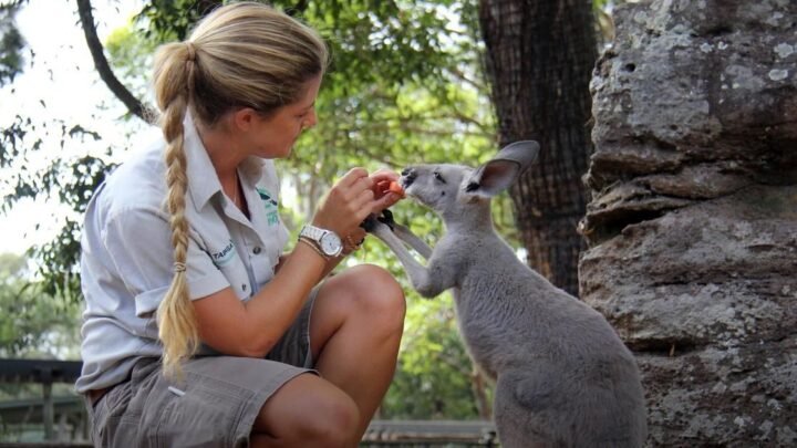 Zoology Jobs: Career Options, Requirements and Future Outlook